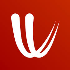 Windy.com Apk icon